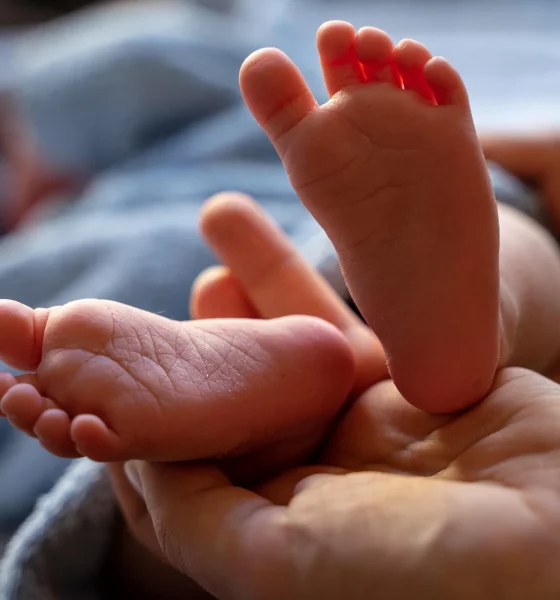 Stargazer Baby Spiritual Meaning Celestial Clues to Your Child’s Cosmic Connection